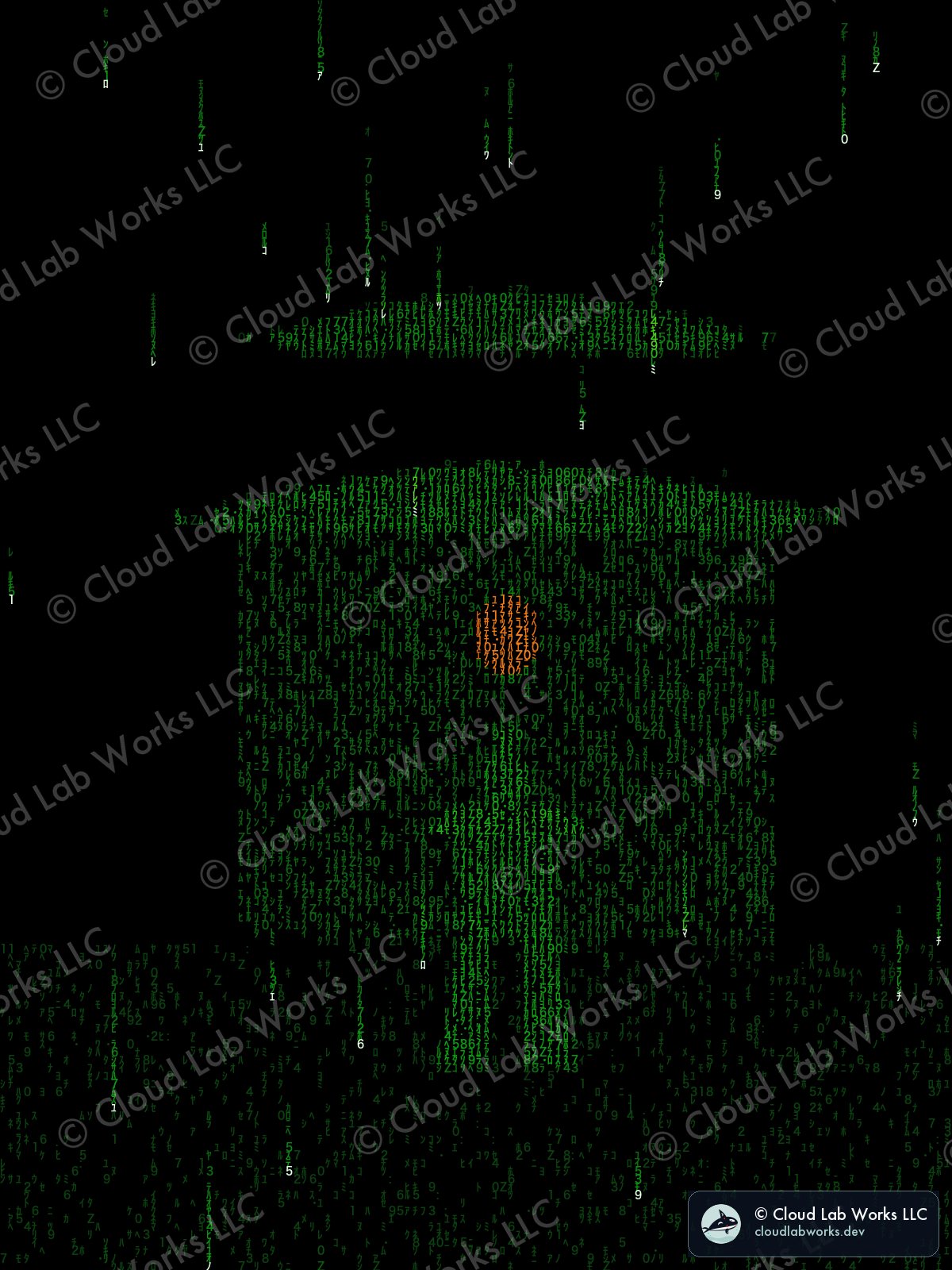 Samurai: The gate at night