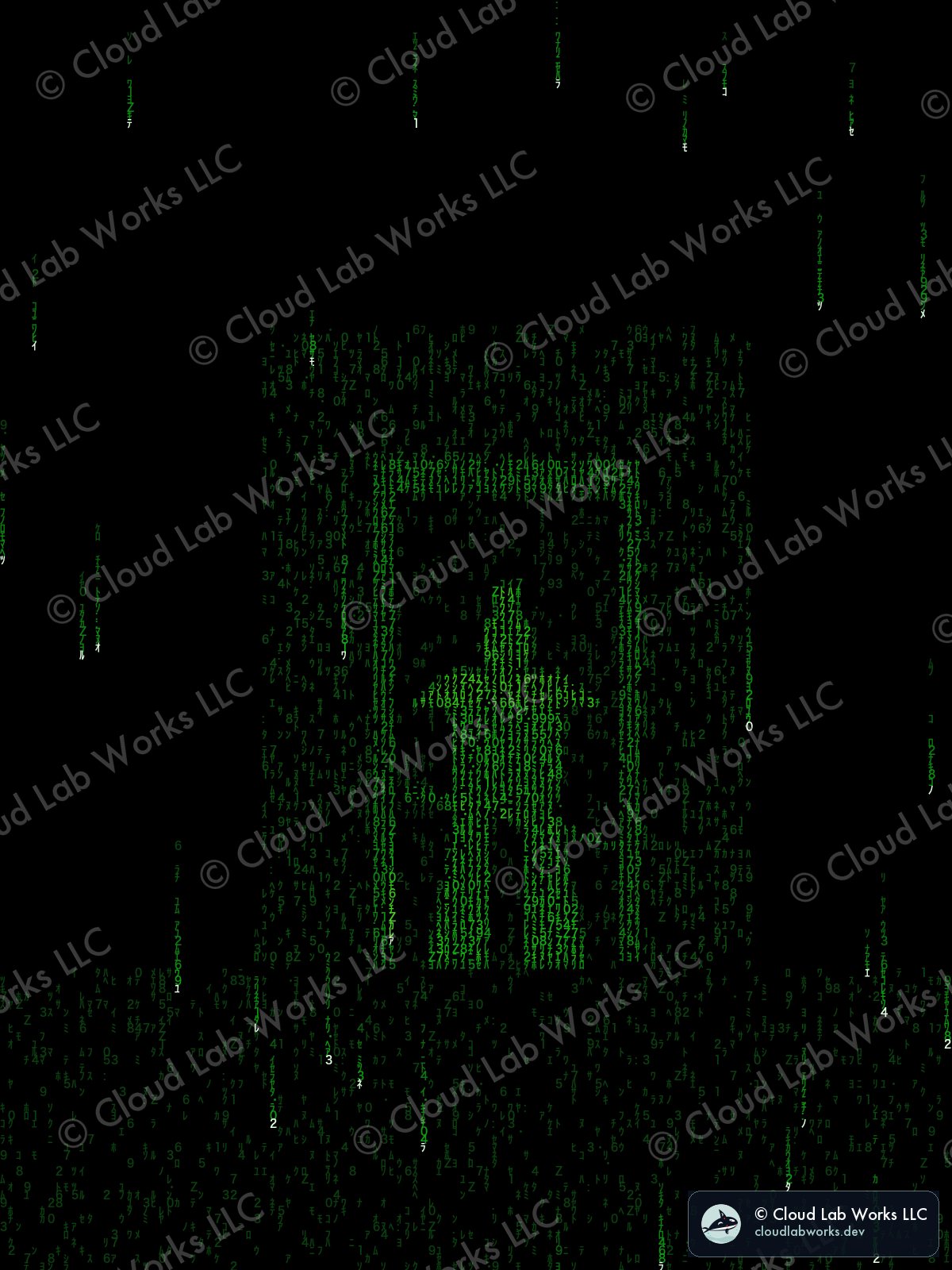 Ronin: In the doorway