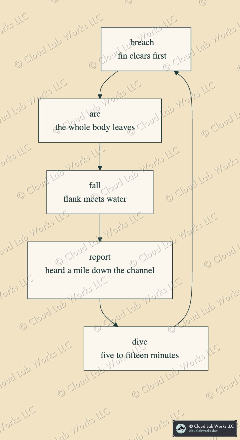 Mermaid flowchart: the breach cycle, breach to arc to fall to report to dive